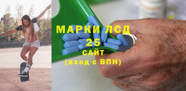 индика Каменногорск