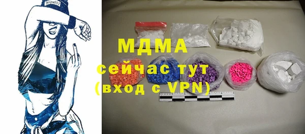 индика Каменногорск