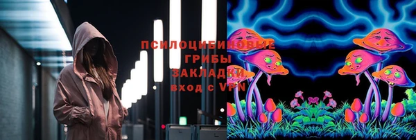 индика Каменногорск