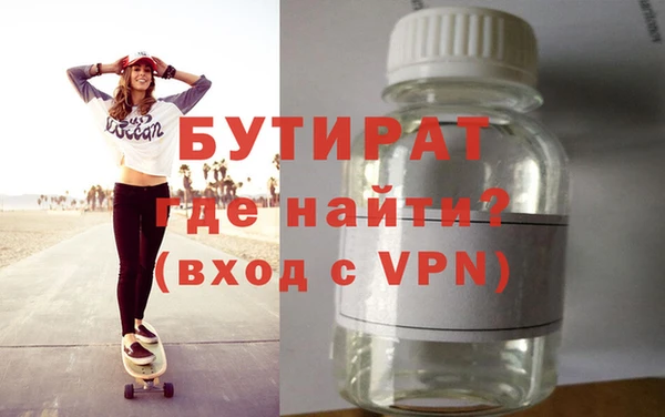 индика Каменногорск