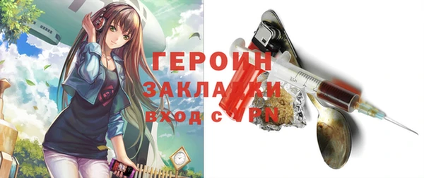индика Каменногорск