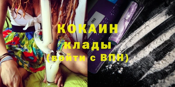 индика Каменногорск