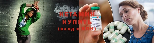 индика Каменногорск