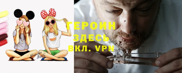 индика Каменногорск