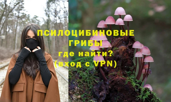 винт Каменка