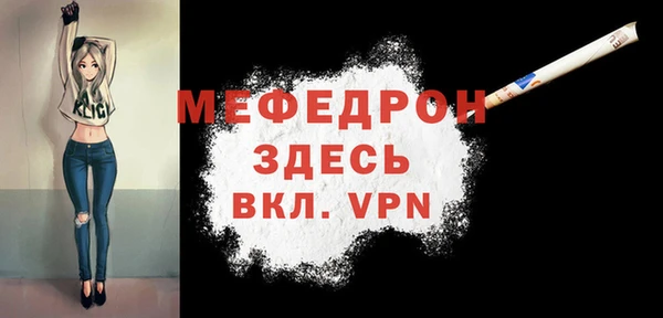 индика Каменногорск