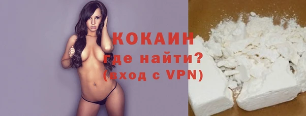 индика Каменногорск