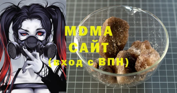 индика Каменногорск
