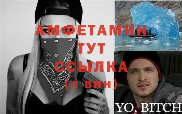 индика Каменногорск