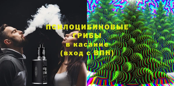 индика Каменногорск