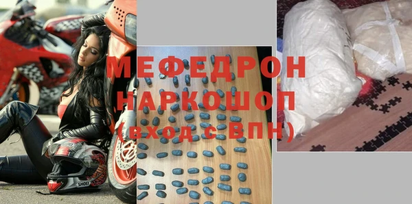 индика Каменногорск