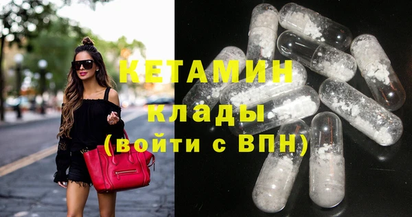 индика Каменногорск