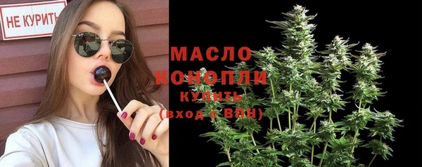 индика Каменногорск