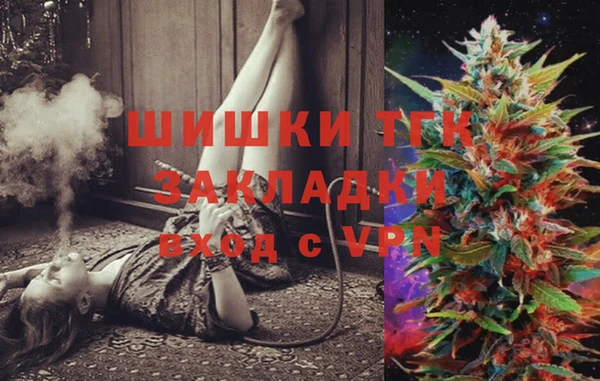 индика Каменногорск