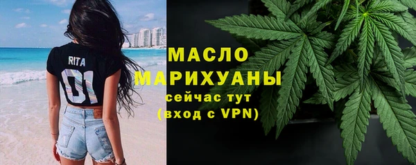 винт Каменка