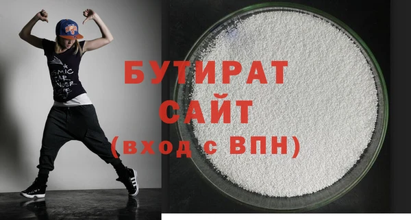 индика Каменногорск