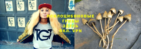 прущая мука Каменск-Шахтинский