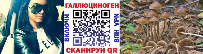 Псилоцибиновые грибы мухоморы  Купить где  Данилов 